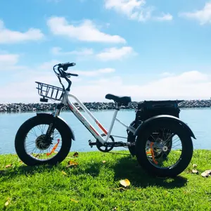 Bafang – tricycle électrique 750W, bon marché, tricycle électrique de passager avec PAS cargo