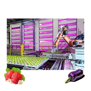 40GQ freezer shipping container Intelligent Agricultural farm hydroponic Farm Growing 40HQ Container Plant Factory