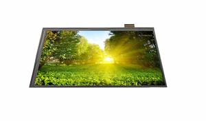 מסך lcd מודול tft 7.0 אינץ' צפייה מלאה 1024*600 ממשק MIPI 30 פינים תצוגת lcd מסך תעשייתי