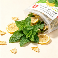 Sachets de thé citron menthe : Soulage la fatigue, aux herbes naturelles, rafraîchissant et apaisant pour la digestion, 90g, 3x30 sachets pour infusion chaude ou froide