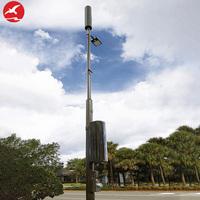 Farola Inteligente Personalizada con Pantalla de Monitoreo Multifunción PM2.5, Poste de Acero para Carreteras