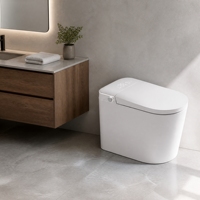 WC intelligent compact Smart Mini Egg avec bidet intégré, chasse d'eau automatique, siège chauffant et télécommande