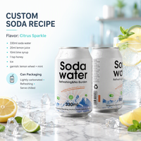Usine de boissons OEM, marque privée, sodas et eaux gazeuses, eaux gazeuses aromatisées sur mesure, boissons gazeuses, hard seltzer en canettes