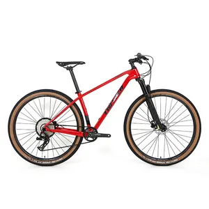 Direct Manufacturer Carbon Mountain Bicycle 29er bike 12*148mm Thru Axle 24 Speed Bicicleta Carbono For Adult