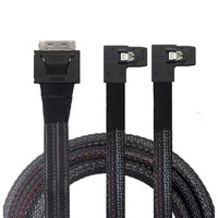 OCuLink SFF-8611 8i ke Kabel Dual SFF-8087 PCIe 4.0 0.5M untuk NVMe U.2 SSD Server Adaptor Internal Kecepatan Tinggi