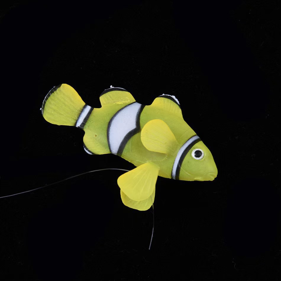 Poisson-clown - Jaune
