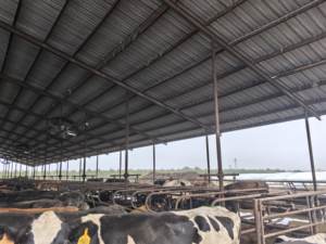 Ventiladores de granja avícola Bonawind de 72 pulgadas, ventiladores industriales de refrigeración de aire de gran tamaño, ventilador axial montable en pared con 6 aspas - Product Image 6