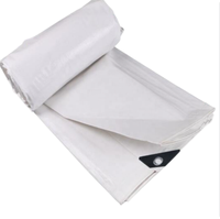 Bâche en PE Premium Imperméable Robuste pour Tente Extérieure avec Œillets Taille Personnalisable
