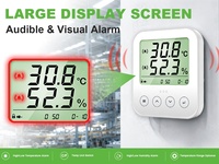 Transmitter Suhu dan Kelembapan Rumah Kaca 4-20mA Sensor Lingkungan dengan Layar LCD yang Dipasang di Dinding