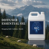 Huile parfumée Forêt Montagne pour diffuseur de hall d'hôtel, huile essentielle, parfum frais de pin et de cèdre, vente en gros