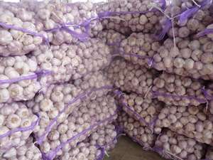 กระเทียมสด2025กระเทียมสด5.0 4.5ส่งออกจากประเทศจีน - Product Image 6