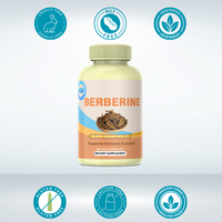 OEM Berberine HCl 98% Haute Concentration 500mg Capsules Antioxydants Naturels pour le Soutien du Métabolisme du Glucose