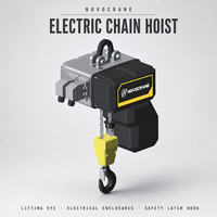 Palans électriques à chaîne NCH1 type F 250 kg avec chariot de levage pour grue à déplacement 1Fall 8/2 m/min 0,75/0,18 kW