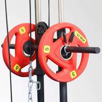Máquina de Gimnasio para Montar en la Pared, Entrenador de Poleas para Ejercicios de Espalda, Expansión de Pecho y Crossover con Sistema de Poleas Dobles Ajustables