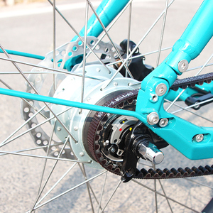 Vélo <span class=keywords><strong>cargo</strong></span> électrique familial à 3 roues, moteur central, cadre en alliage, caisse de chargement en bois, 4 passagers, tricycle électrique urbain pour adultes et familles - Grande promotion - Product Image 4