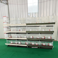 Cage à poussins et poulets de chair à petit prix avec système d'abreuvement automatique à vendre