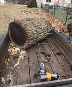 Trung Quốc Nhà máy 12V tời không thấm nước điện 6000lbs máy kéo tời với điều khiển từ xa - Product Image 6