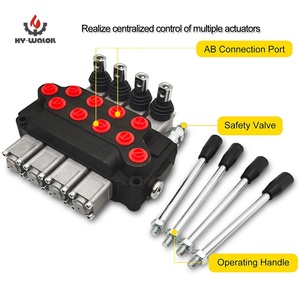 Hy-waloil Máy Xúc Lật Van Khóa Thủy Lực Đơn Khối Thủy Lực Thiết Kế Đơn Giản - Product Image 5