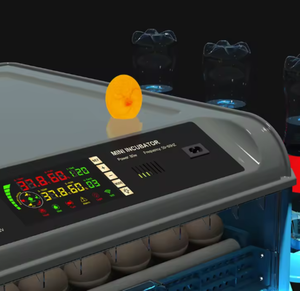 Incubateur à œufs pour 70 œufs, conçu pour les exploitations agricoles à domicile, contrôle précis de la température, taux d'éclosion jusqu'à 98% - Product Image 5