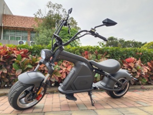 Mangosteen M8 Nouvelle Arrivée Scooters Moto Scooters Électriques Avec 2000W 3000W Citycoco - Product Image 3