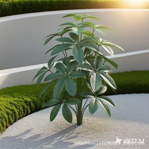 Hongsheng nhân tạo tiền cây Chậu cây nhựa lớn giả Bonsai lâu dài phòng khách sàn trang trí - Product Image 3