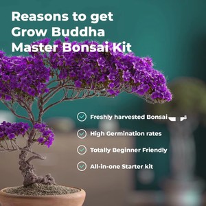 Exótico Premium <span class=keywords><strong>Bonsai</strong></span> Starter Kit Square Flower Pot Design con Master Tool Set para Home Garden <span class=keywords><strong>Bonsai</strong></span> Trees - Product Image 5