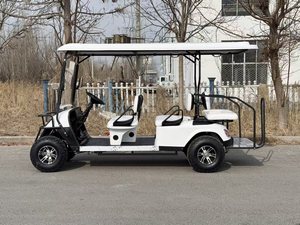 Carro Eléctrico de Gran Capacidad para 6 Personas, Ideal para Recorridos Turísticos en Parques y Zonas Panorámicas - Product Image 4