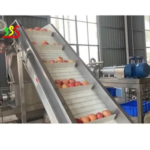 Ligne de traitement automatique de la purée de pommes et de fruits frais et biologique, 2 tonnes/h