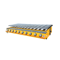 Grill à gaz GPL commercial à 10 brûleurs, rôtissoire automatique pour viande, en acier inoxydable, marque SC, options multicolores, garantie 3 mois
