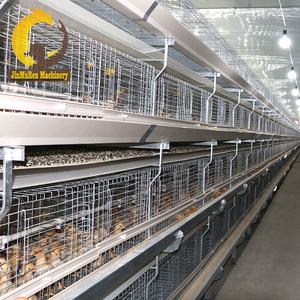 Proyecto automático <span class=keywords><strong>de</strong></span> jaulas para <span class=keywords><strong>pollitos</strong></span> <span class=keywords><strong>de</strong></span> granja avícola Jinmuren y proyecto <span class=keywords><strong>de</strong></span> jaulas para pollos <span class=keywords><strong>de</strong></span> capa a la <span class=keywords><strong>venta</strong></span> - Product Image 6