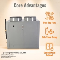 Groupes de condensation frigorifiques à compresseur Copeland Vortex -18-18°C R404A/R-22 3HP/5HP/10HP/15HP Capacité de