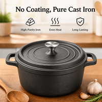 Cocotte en fonte avec couvercle, sans émail, en fonte brute, pour soupes, sans revêtement, pour cuisinières à gaz et à induction, ustensile de cuisine