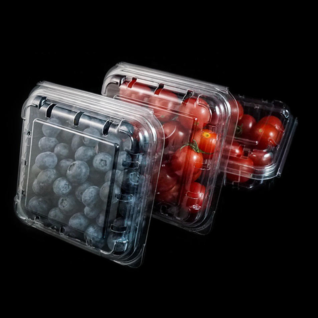 Clamshell Packaging Clear Plastic Blueberries Container Recyclable Blister Box for Supermarket