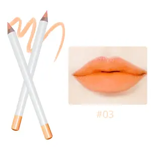 Professional Manufacturer's Vegan Lip Liner Pencil 6 Colors with Logo Matte Lip Gloss Stick ODM Supplied Makeup Tool