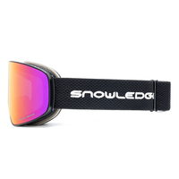Prêt à expédier lunettes de ski polarisées UV400 lunettes de snowboard lunettes de neige anti-buée