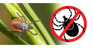 เครื่องพ่น14L แบบ2จังหวะเครื่องพ่นทางเกษตรกรรมเครื่องพ่นน้ำมัน NTS420เครื่องมือในฟาร์ม - Product Image 2