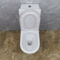 Ensemble WC monobloc en céramique pour salle de bain, design Dragon Doré, avec chasse d'eau, siphon en P et siphon en S
