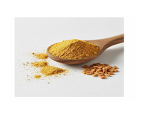Poudre de Fenugrec Premium en Gros, Séchée au Soleil et Moulue à la Pierre, Épice Riche en Saveur, Qualité Standard Export, Emballage en Vrac