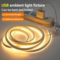 Bande lumineuse LED néon USB 5V étanche IP65, en silicone élastique, avec interrupteur tactile, réglable, pour décoration extérieure et intérieure, facile à installer