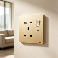 Prise murale OEM 13A UK avec interrupteur, indicateur néon et ports de charge USB-A et USB-C