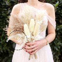 Prefleur vraies fougères blanches stabilisées préservées bricolage artisanat guirlandes de mariage décorations pour la maison Bouquets Graduation Halloween Pâques