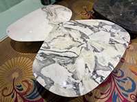 Nouvelle table basse en marbre blanc de luxe pour salon, haut de gamme et élégante, adaptée à un usage domestique.