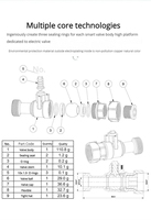 Vanne intelligente WiFi EWelink APP DN15/DN20/DN25, interrupteur de coupure automatique de l'eau/gaz, commande à distance sans fil, compatible Alexa
