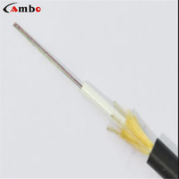 Cable de Fibra Óptica GJFXTKV para Interiores/Exteriores, Fabricado en China, Precio al por Mayor, 2 y 4 Núcleos