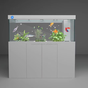 Siêu Trắng <span class=keywords><strong>Fish</strong></span> Tank trong suốt Cube với hiển thị Glass <span class=keywords><strong>Fish</strong></span> Tank cho Aquarium <span class=keywords><strong>Fish</strong></span> Tank - Product Image 1