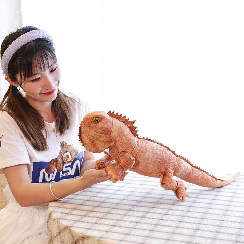 Lézard