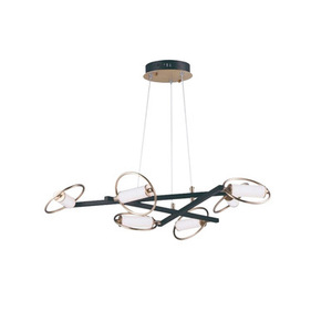 โคมไฟเพดาน LED ทรงวงแหวน ดีไซน์ใหม่ สไตล์โพสต์โมเดิร์น สร้างสรรค์ เรียบง่าย รูปทรงอิสระ ปรับความสูงได้ สำหรับตกแต่ง - Product Image 2