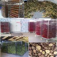 Four de séchage commercial KINKAI à bas prix et haute efficacité, sécheur à plateaux chauffants électriques, déshydrateur de fruits et légumes