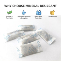 Déshydratant minéral scellé 1g OEM/ODM, absorbeur d'humidité haute performance pour vêtements, électronique et usage industriel