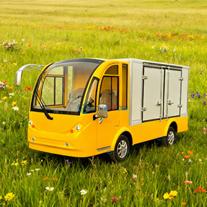 Carrello Elettrico Giallo per Trasporto Urbano a 2 Posti, Grande Capacità, Alta Sicurezza per Trasporto Pubblico Urbano, Fattorie e Resort - Product Image 1